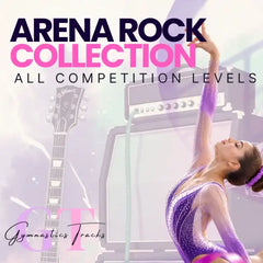 Purple and silver sparkly gymnastics leotard with a sheer mesh overlay