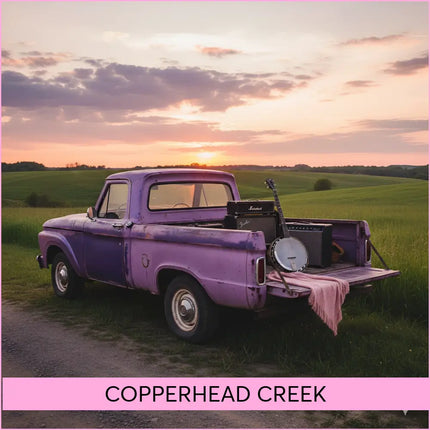 Vintage purple pickup truck with faded paint showing rustic charm for copperhead creek country gymnastics floor music