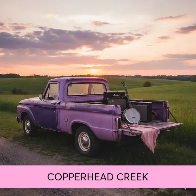 Vintage purple pickup truck with faded paint showing rustic charm for copperhead creek country gymnastics floor music
