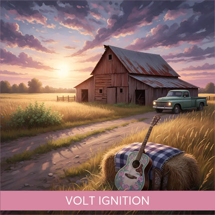 Acoustic guitar with floral design on hay bale for Volt Ignition country rock gymnastics floor music